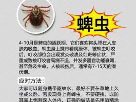 老人头痛欲裂竟是被蜱虫连吸数日，竟然引发脑炎