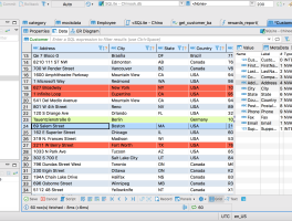 DBeaver 22.2.1 发布，多平台数据库工具 