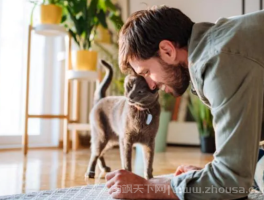 为什么我的猫用头撞我？