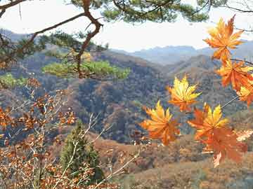 JR-T 0053-2016 机动车保险数据交换规范 JR-T 0053-2016 机动车保险数据交换规范